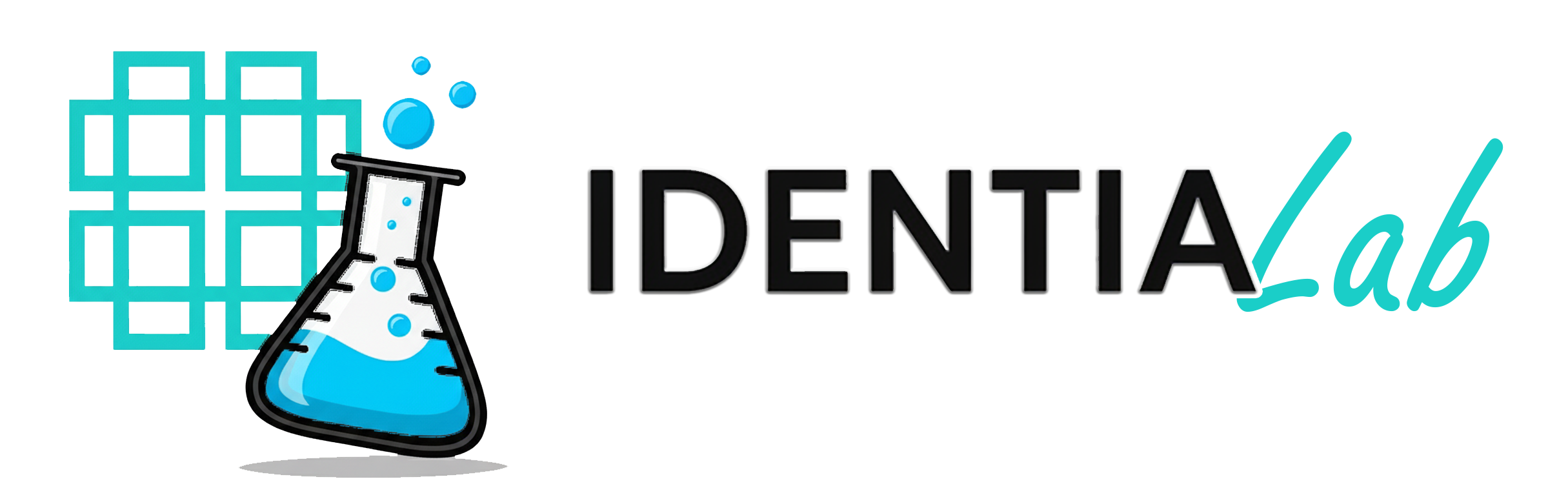 Identia Lab